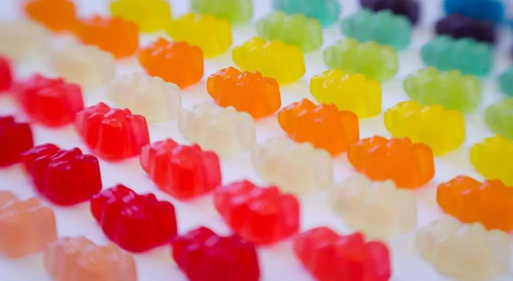 Gummy bears lined up in rows