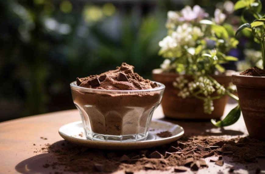 Chocolate Mousse With Cocoa Powder Recipe